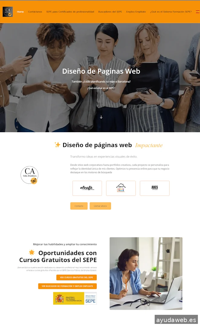 Diseño Web C.A.
