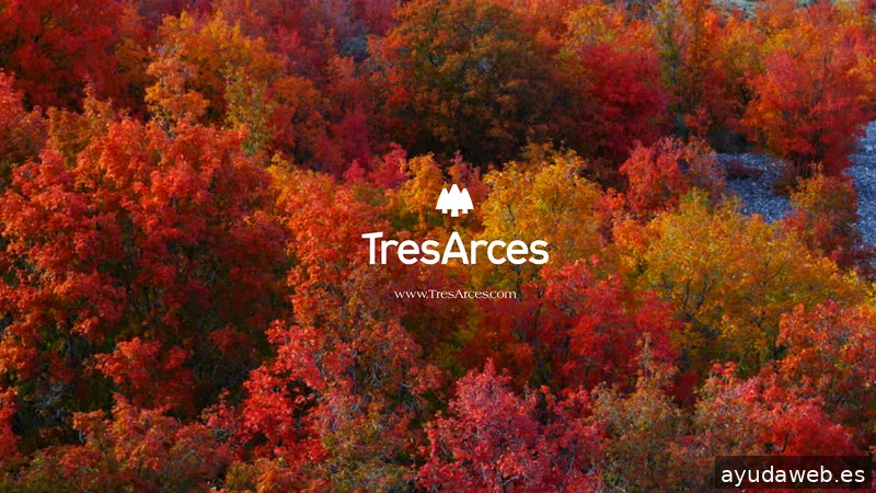 Tres Arces