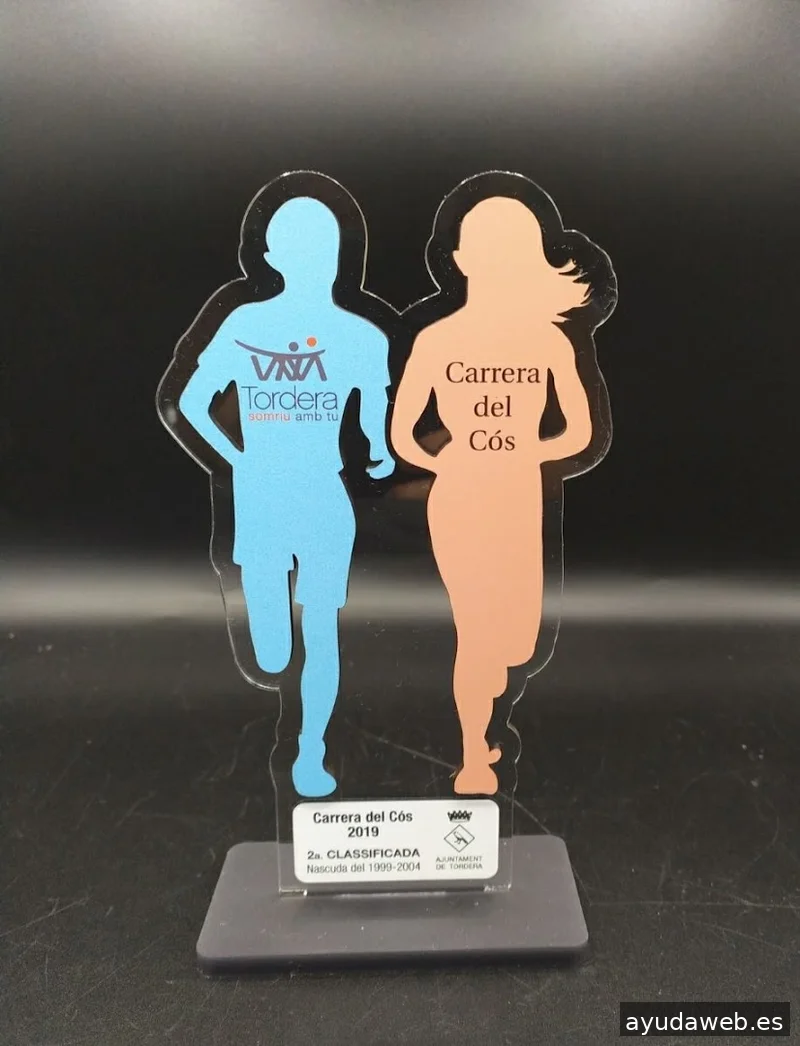 GRAFIQUES PUNSET / 7laser