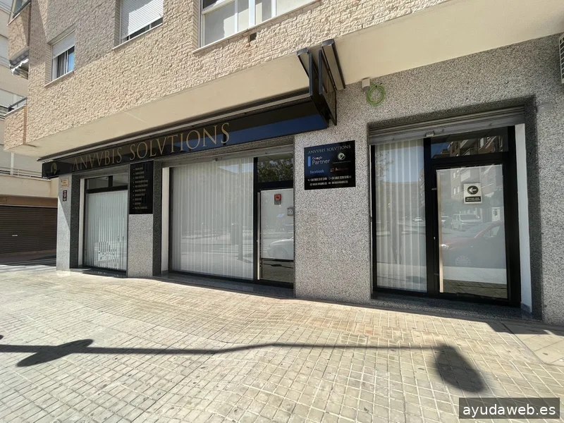 Anuubis Solutions - Diseño web y Posicionamiento