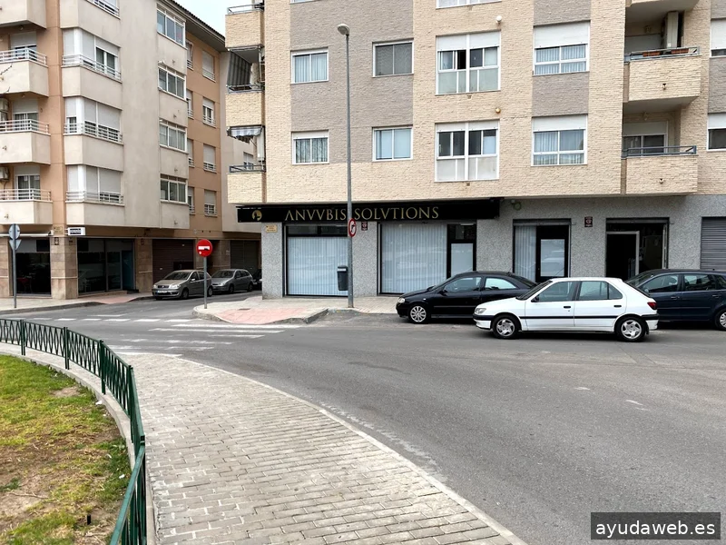 Anuubis Solutions - Diseño web y Posicionamiento