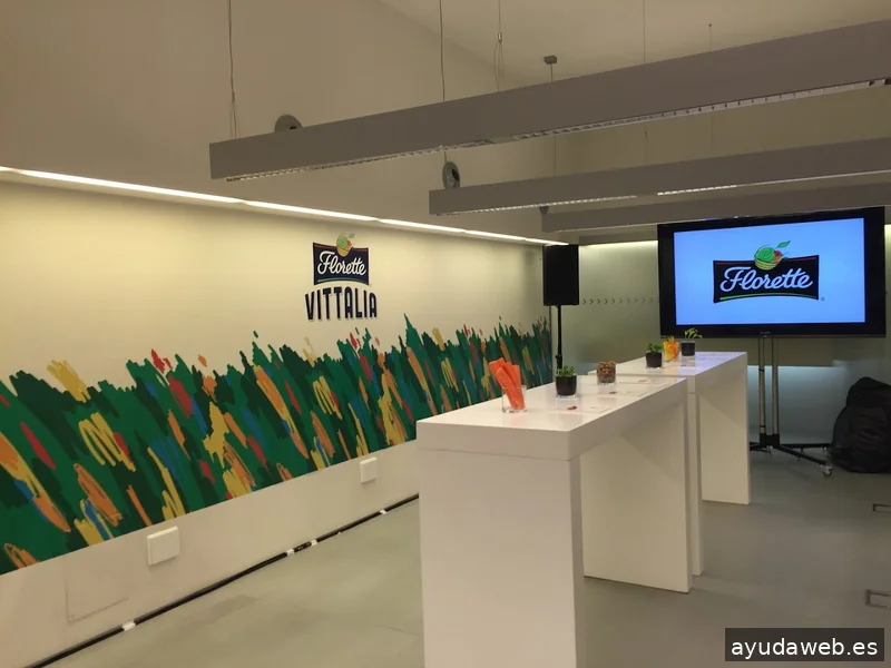 Estudio Creativo Colors