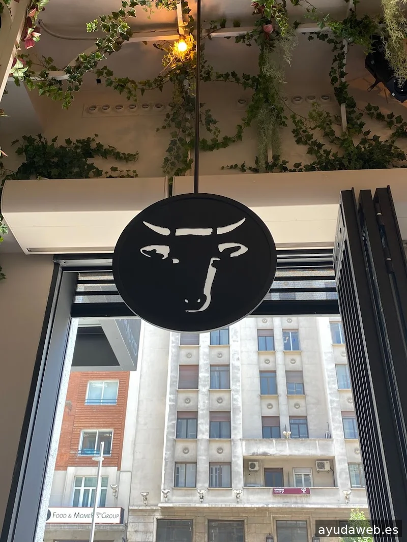 Estudio Creativo Colors