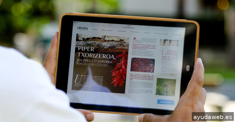 Nueva Europa Diseño Imagen y Comunicación SL