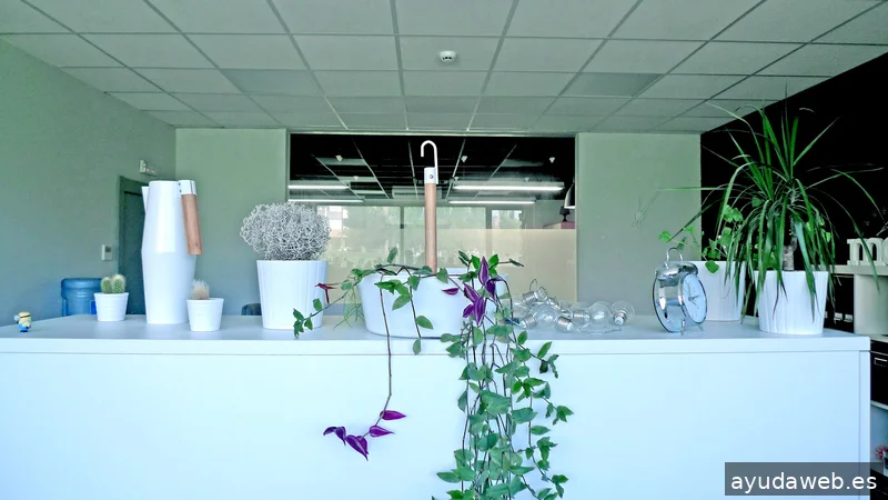 Emociona Soluciones Creativas