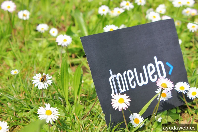 Shareweb - Webgune diseinua eta garapena agentzia