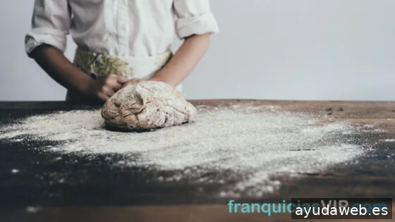 FRANQUICIASVIP
