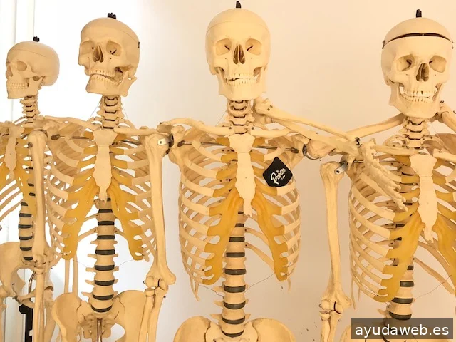 The Popcom Agencia de comunicación especializada en salud y el sector médico