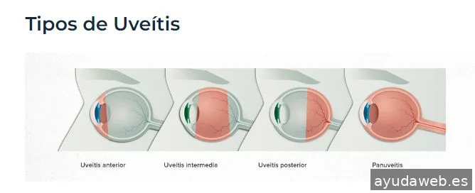 The Popcom Agencia de comunicación especializada en salud y el sector médico
