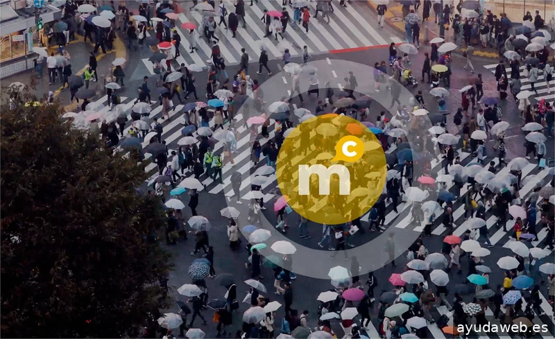 Mostaza Comunicacion