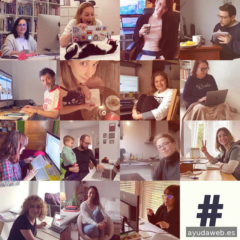 Mostaza Comunicacion