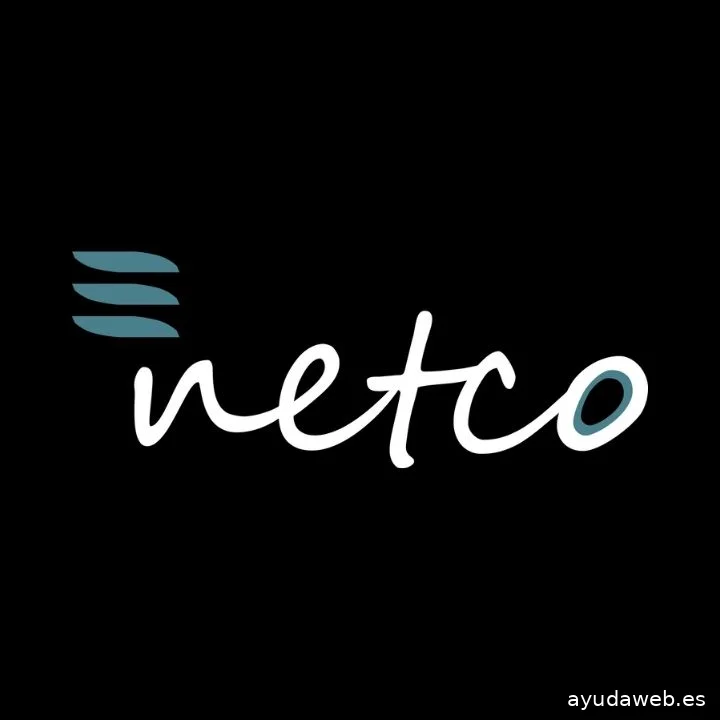 Netco Diseño Web Bilbao