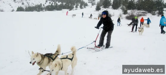 GCR Eventos y Comunicación