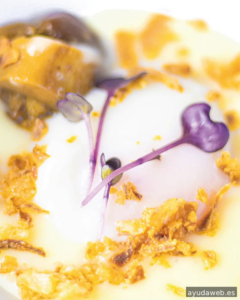 Alquimia Diseño ~ Diseño Web, Identidad, Logotipos, Tiendas Online - Proyectos Web a medida