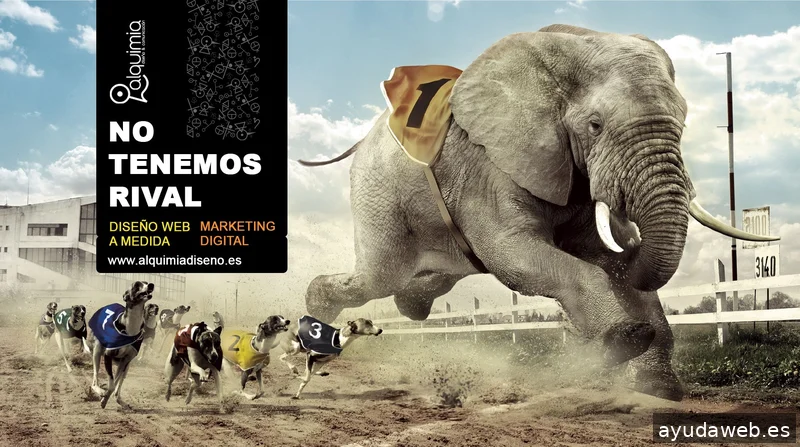 Alquimia Diseño ~ Diseño Web, Identidad, Logotipos, Tiendas Online - Proyectos Web a medida