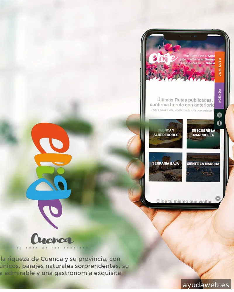 Alquimia Diseño ~ Diseño Web, Identidad, Logotipos, Tiendas Online - Proyectos Web a medida