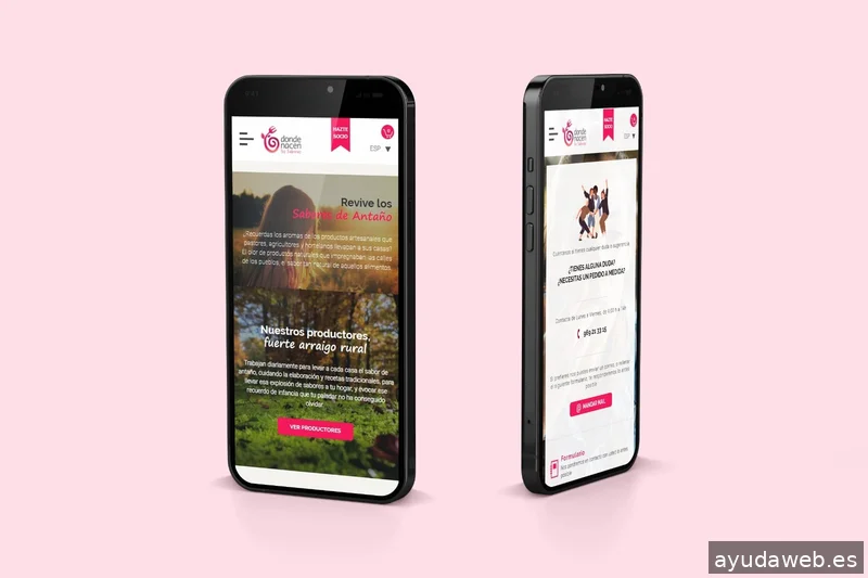 Alquimia Diseño ~ Diseño Web, Identidad, Logotipos, Tiendas Online - Proyectos Web a medida