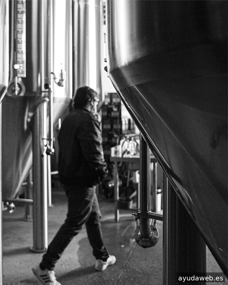 Alquimia Diseño ~ Diseño Web, Identidad, Logotipos, Tiendas Online - Proyectos Web a medida