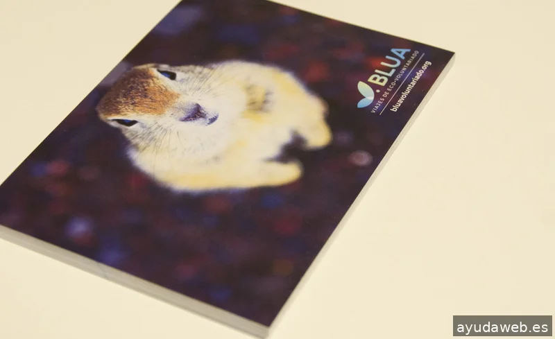 inoco - agencia digital creativa