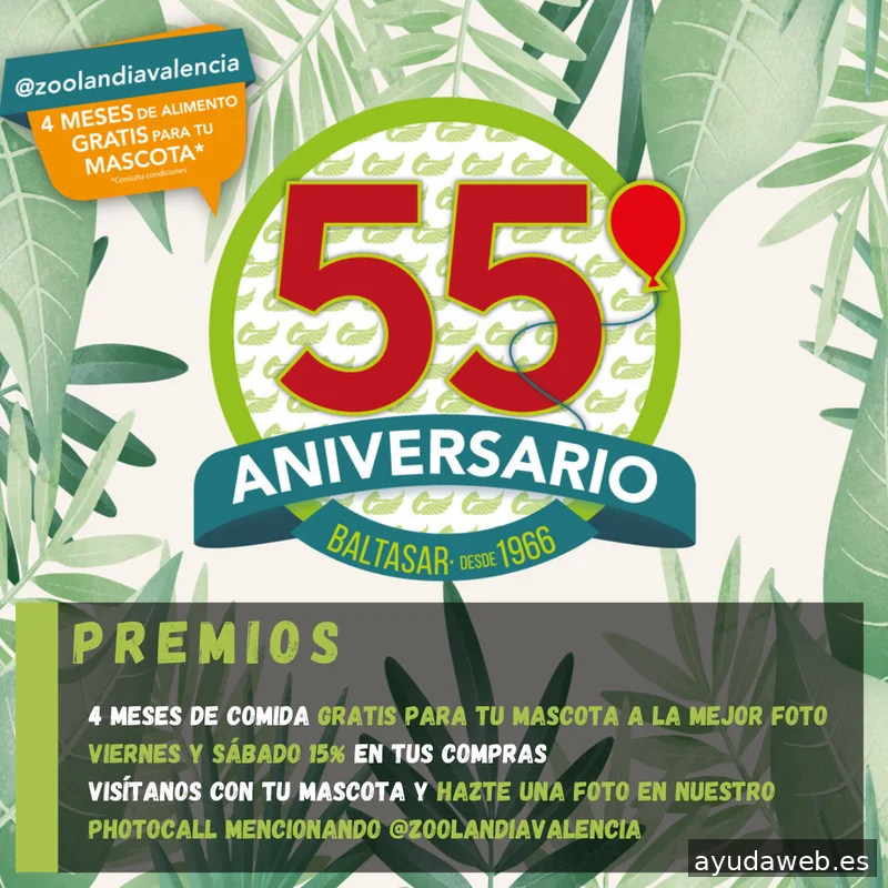 Valencia Plan Marketing