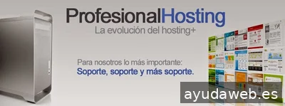 Profesional Hosting