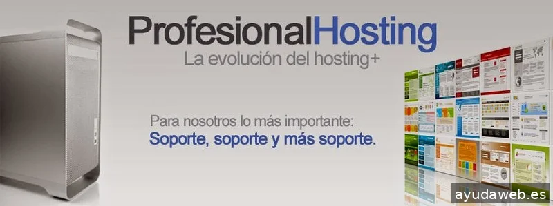Profesional Hosting