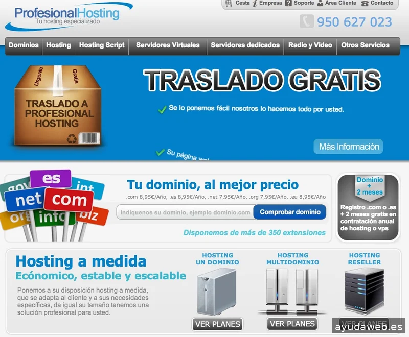 Profesional Hosting