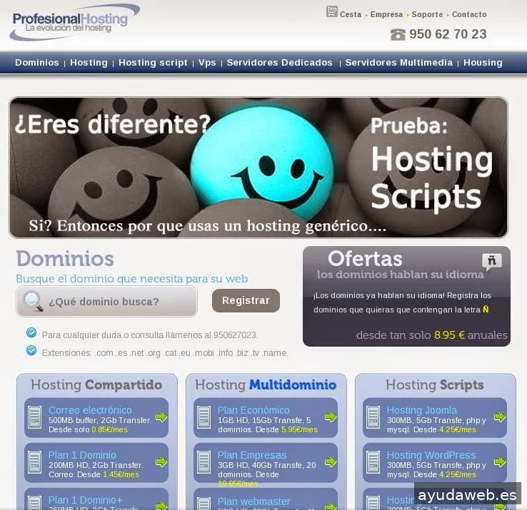 Profesional Hosting