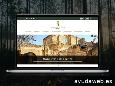 Fénix Byte | Agencia diseño web Madrid