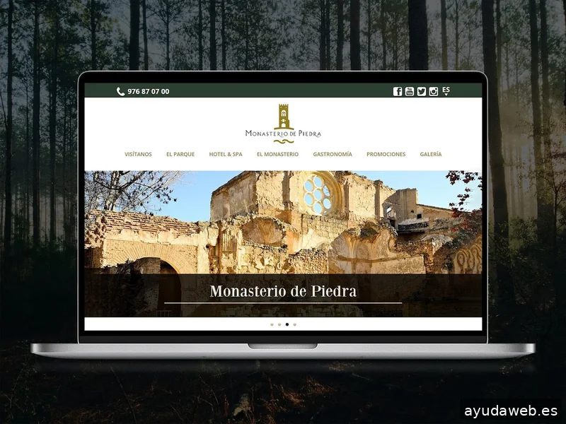 Fénix Byte | Agencia diseño web Madrid
