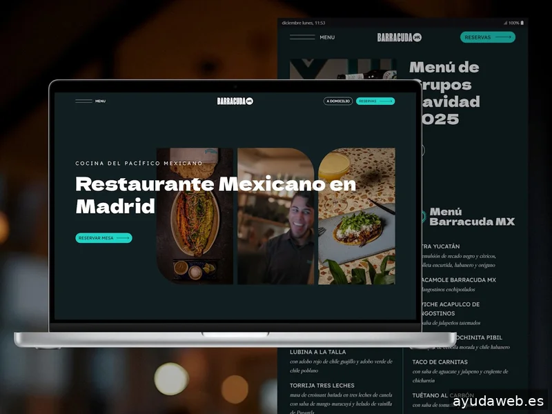 Fénix Byte | Agencia diseño web Madrid