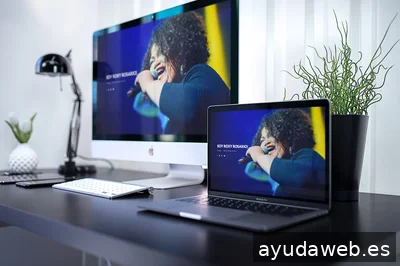 Winxester Design - Estudio de diseño