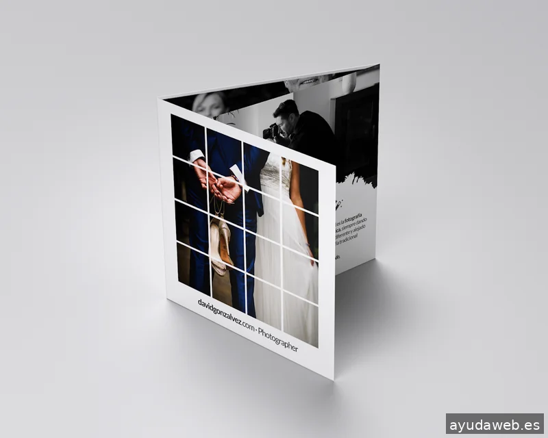 Winxester Design - Estudio de diseño