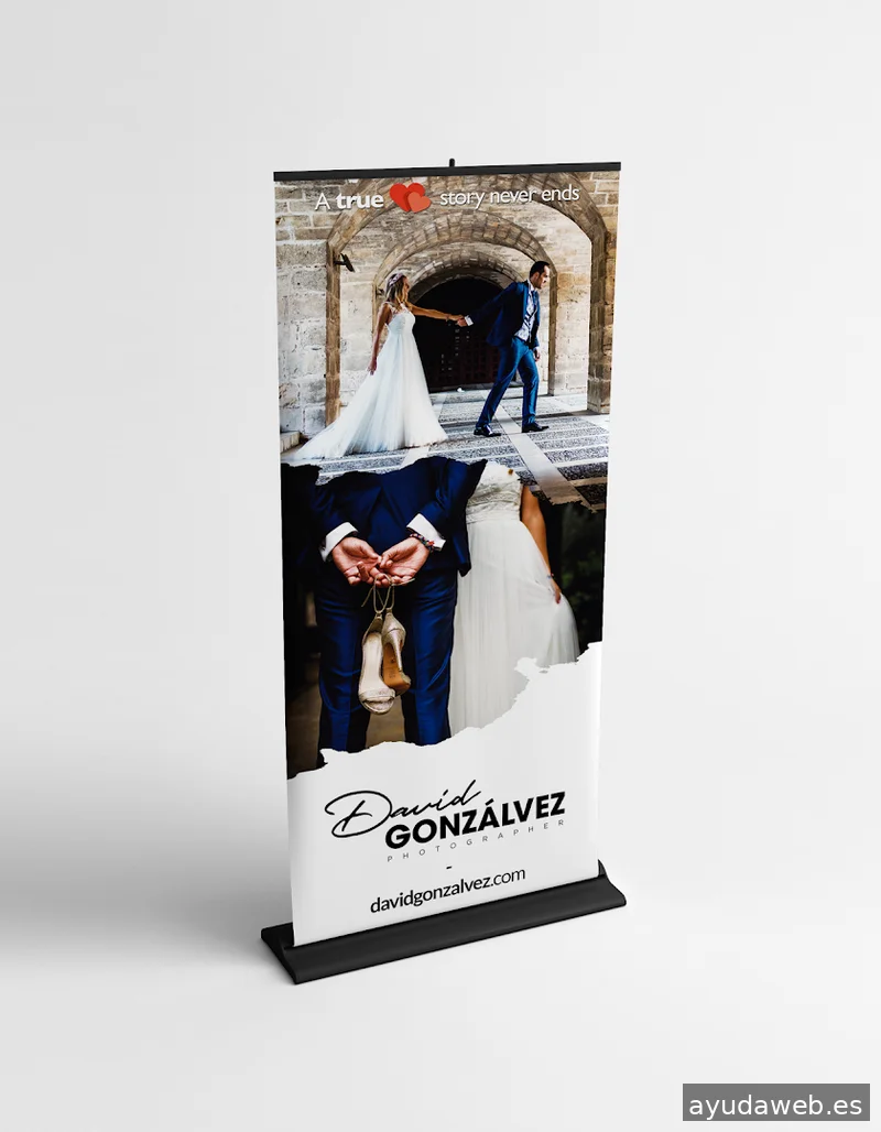 Winxester Design - Estudio de diseño