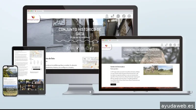 Capitán Quimera | Agencia de marketing y publicidad en Valladolid