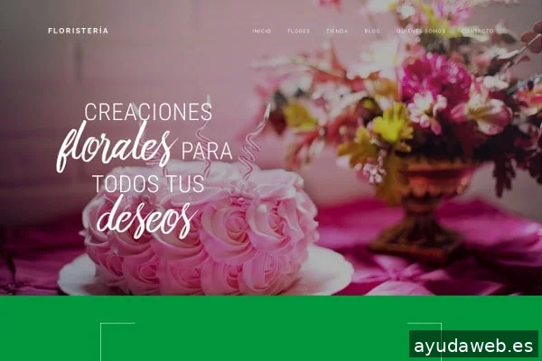 José Roldán Diseño Web y SEO
