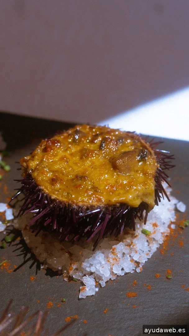 Onin | IA & Marketing Digital