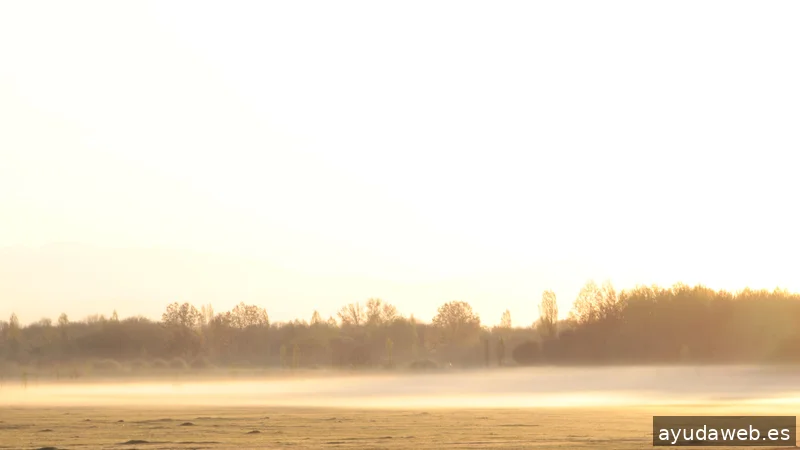 IDEOLAB | ecoBranding