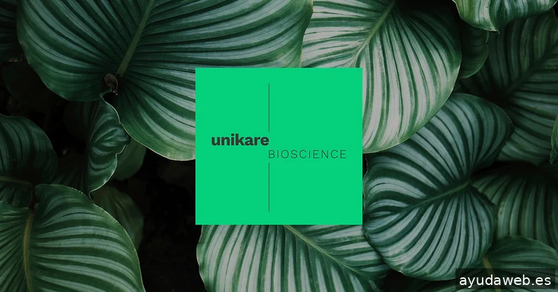 IDEOLAB | ecoBranding