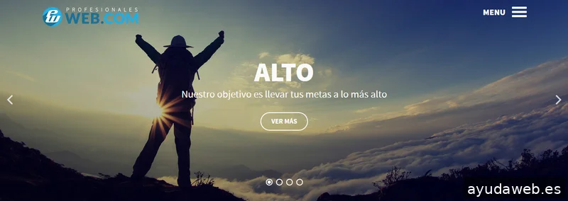 Profesionalesweb