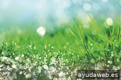agua de mayo marketing