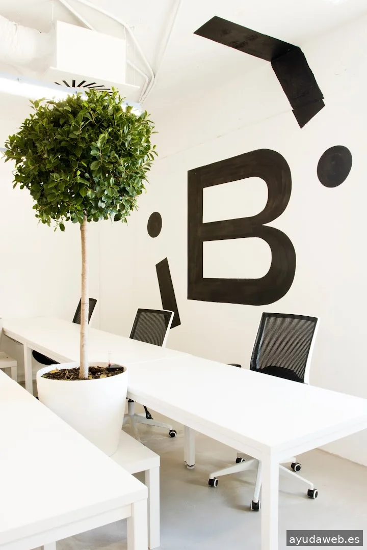 WSC Design // Agencia de Branding y Diseño Web | Madrid