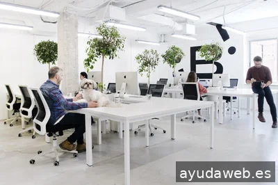 WSC Design // Agencia de Branding y Diseño Web | Madrid