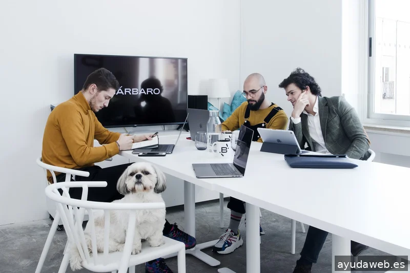 WSC Design // Agencia de Branding y Diseño Web | Madrid