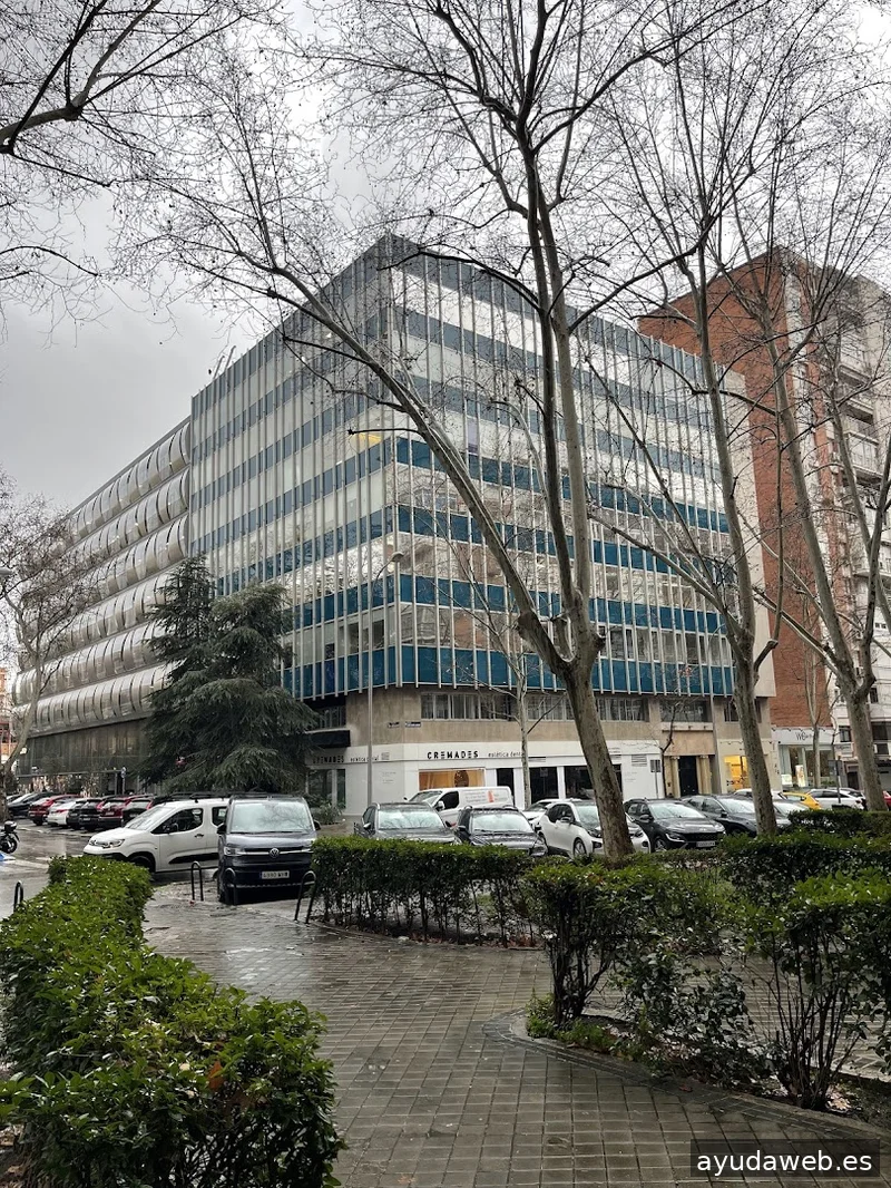 WSC Design // Agencia de Branding y Diseño Web | Madrid