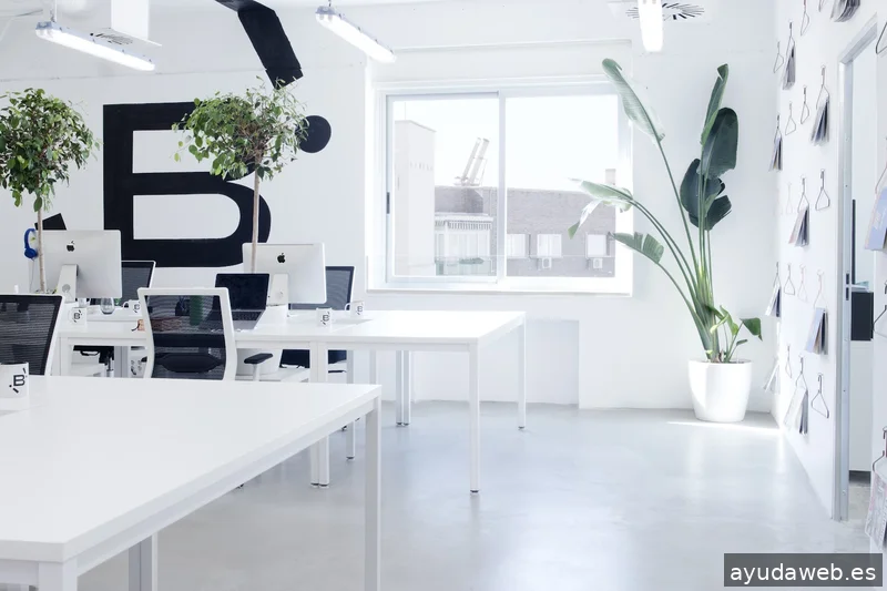 WSC Design // Agencia de Branding y Diseño Web | Madrid