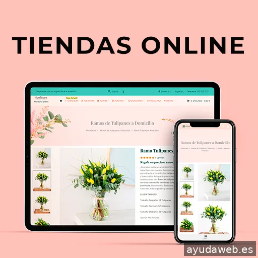 Rafa Molina | Consultor SEO | Marketing Digital