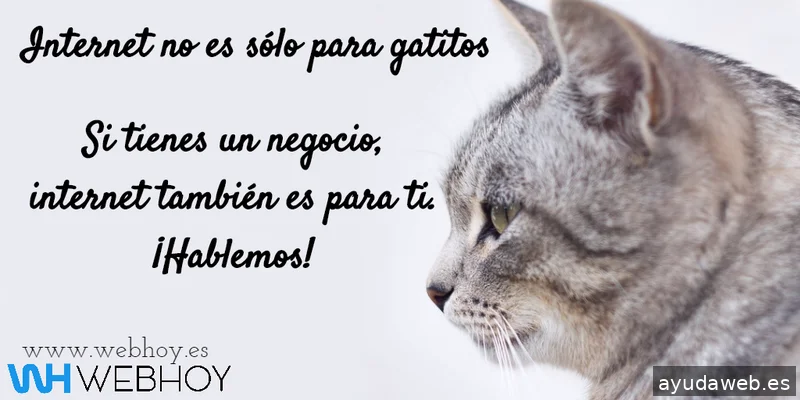 Webhoy | Agencia de Diseño Web Huelva y Marketing Digital