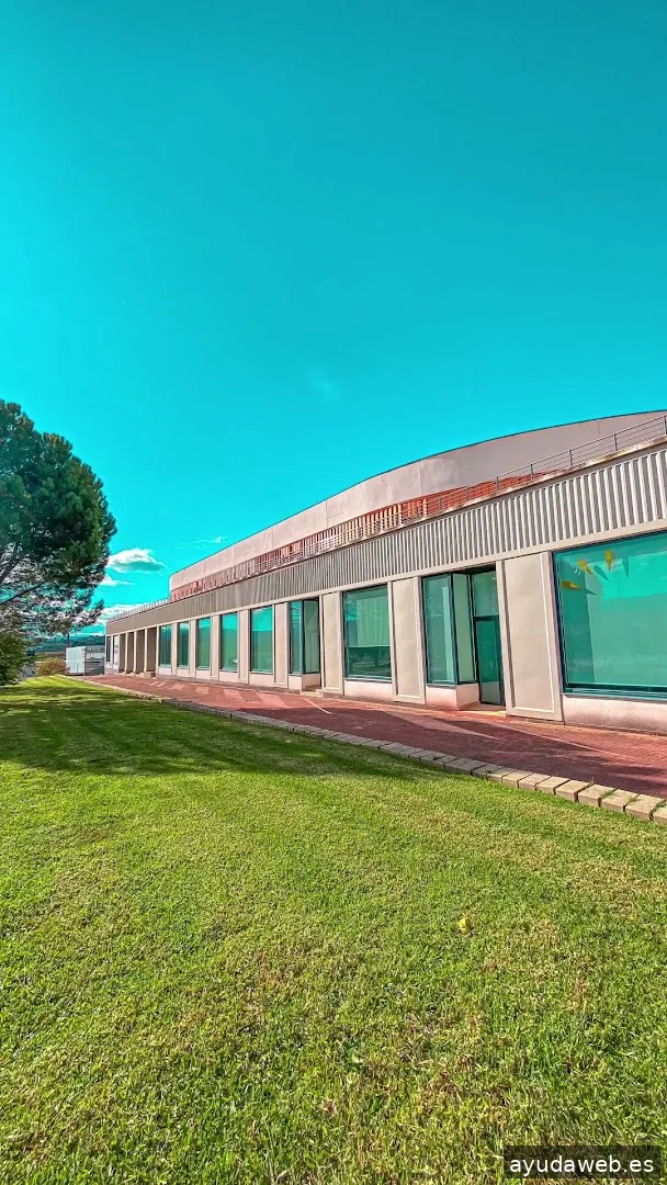 CWO Centro de Negocios | Ontinyent |Formación | Coworking | Alquiler de Oficinas