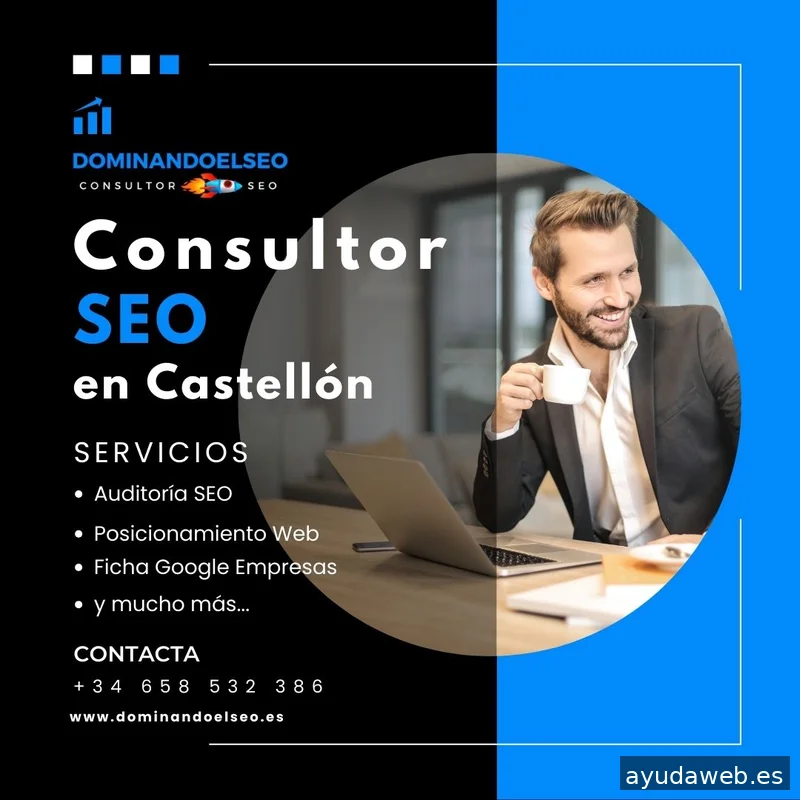 DominandoelSEO - Consultor SEO Castellón